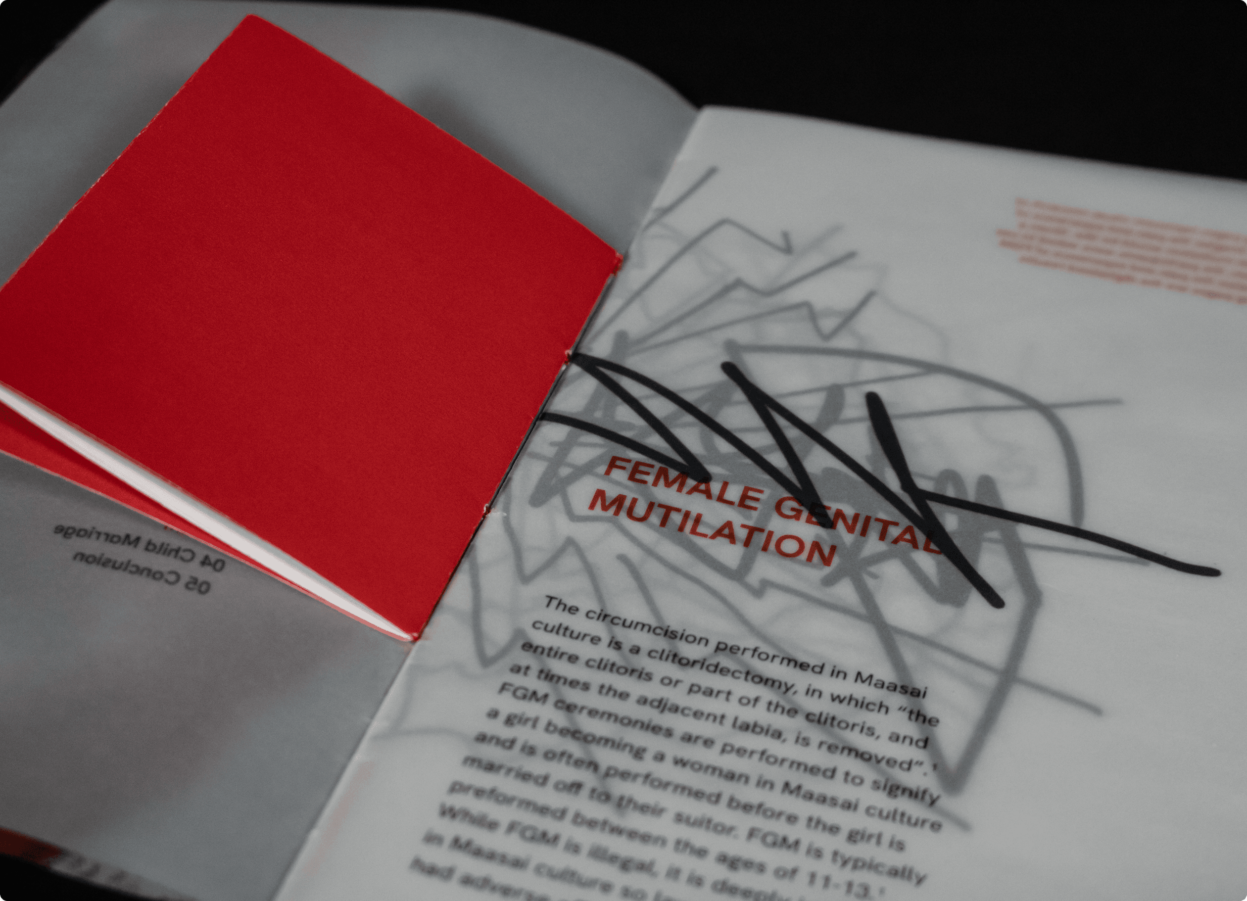 Woven in Colour book interior pages
